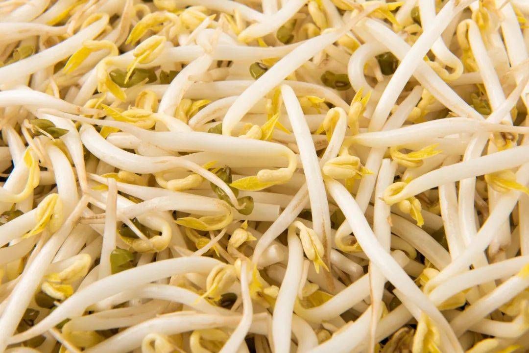 皇冠信用網代理占成_无根豆芽是用激素催生的皇冠信用網代理占成,吃了会致癌?