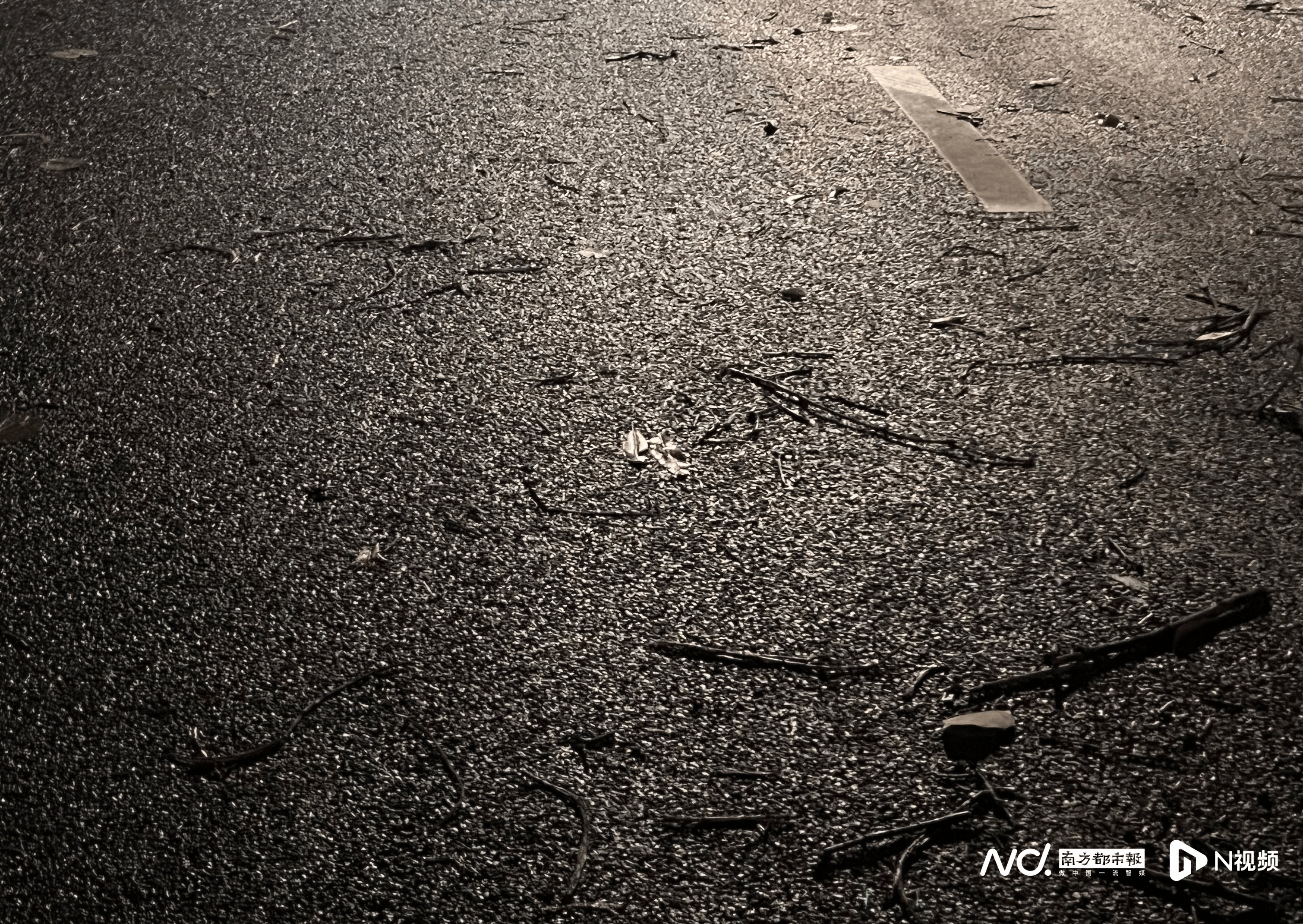 皇冠信用网代理_佛山官宣解除“五停”后两小时内皇冠信用网代理,我们在街头看见