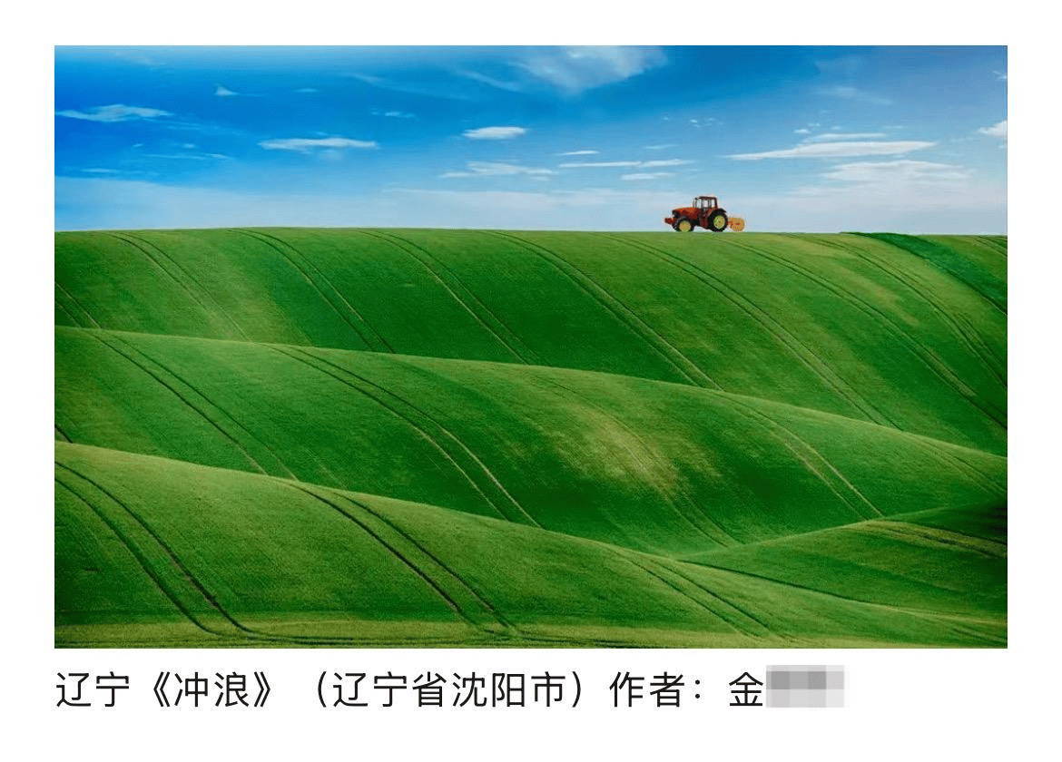 皇冠信用网结算日是哪天_辽宁传媒学院一教师摄影作品涉嫌抄袭被取消入展资格皇冠信用网结算日是哪天,同校美术系主任此前被认定抄袭