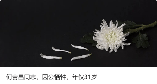 皇冠信用最新地址_广东:全省各地各部门迅速进入临战状态