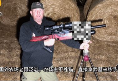 皇冠信用网代理
_头部中弹!近日安徽18岁男孩深夜遭遇枪击皇冠信用网代理
,枪是从哪来的?