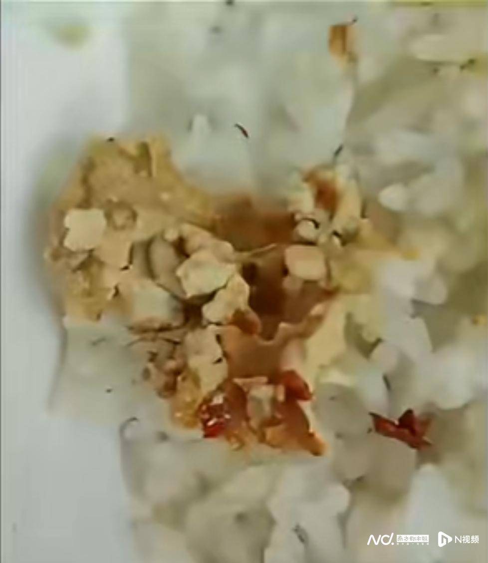 网上买球怎么买
_事发佛山网上买球怎么买
!有市民网购的豆腐乳内有蛆虫蠕动